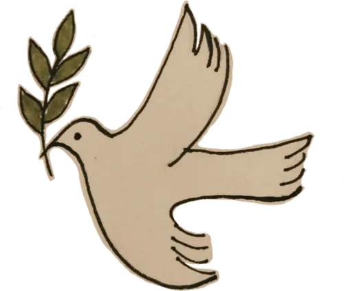 کبوتر فلسطین